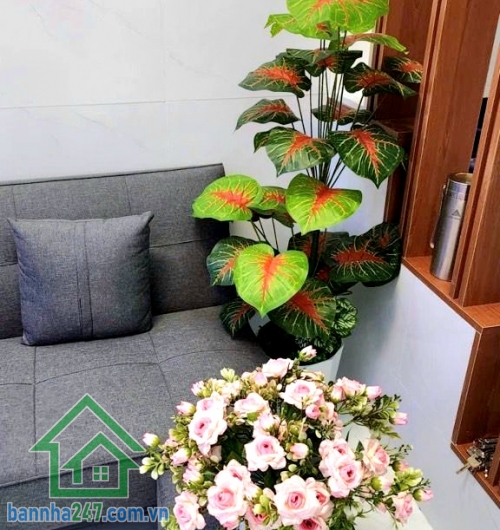 CHỈ 3,9 TỶ – TRUNG TÂM QUẬN 3 – GẦN CMT8 – NHÀ ĐẸP Ở NGAY - 2PN – 2WC Căn nhà “mơ ước” giữa trung tâm – giá hiếm – cực kỳ đáng xuống tiền! Diện tích: 34m² Mob 0933 144 037